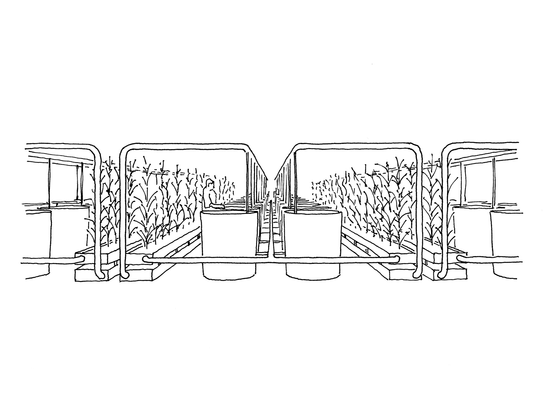 high-efficiency food production methods