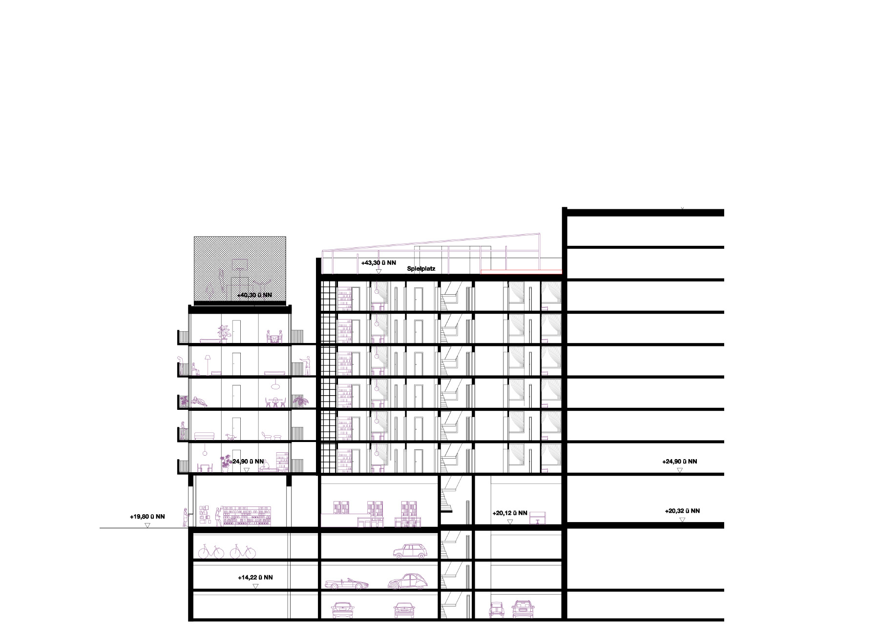 longitudinal section