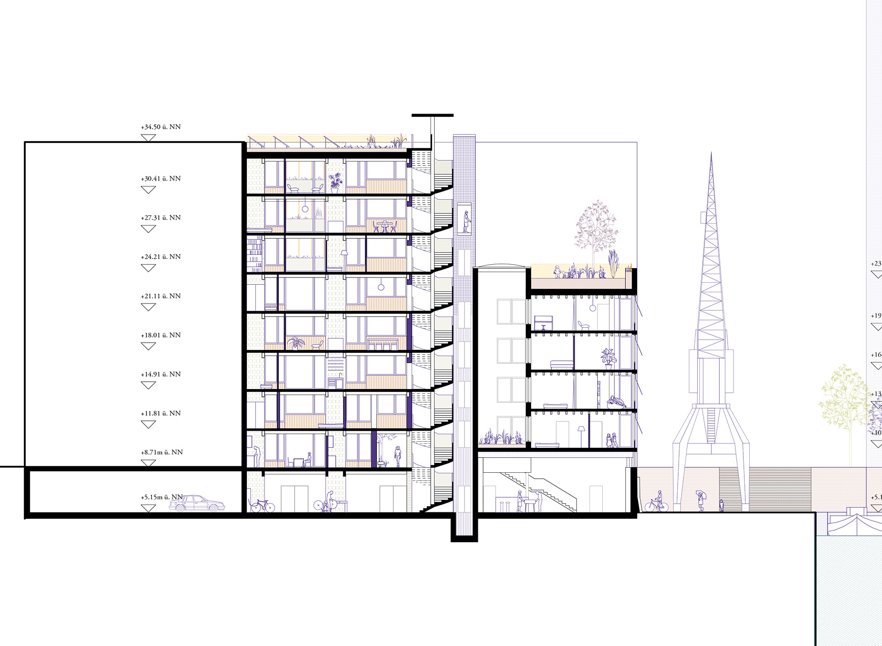 longitudinal section