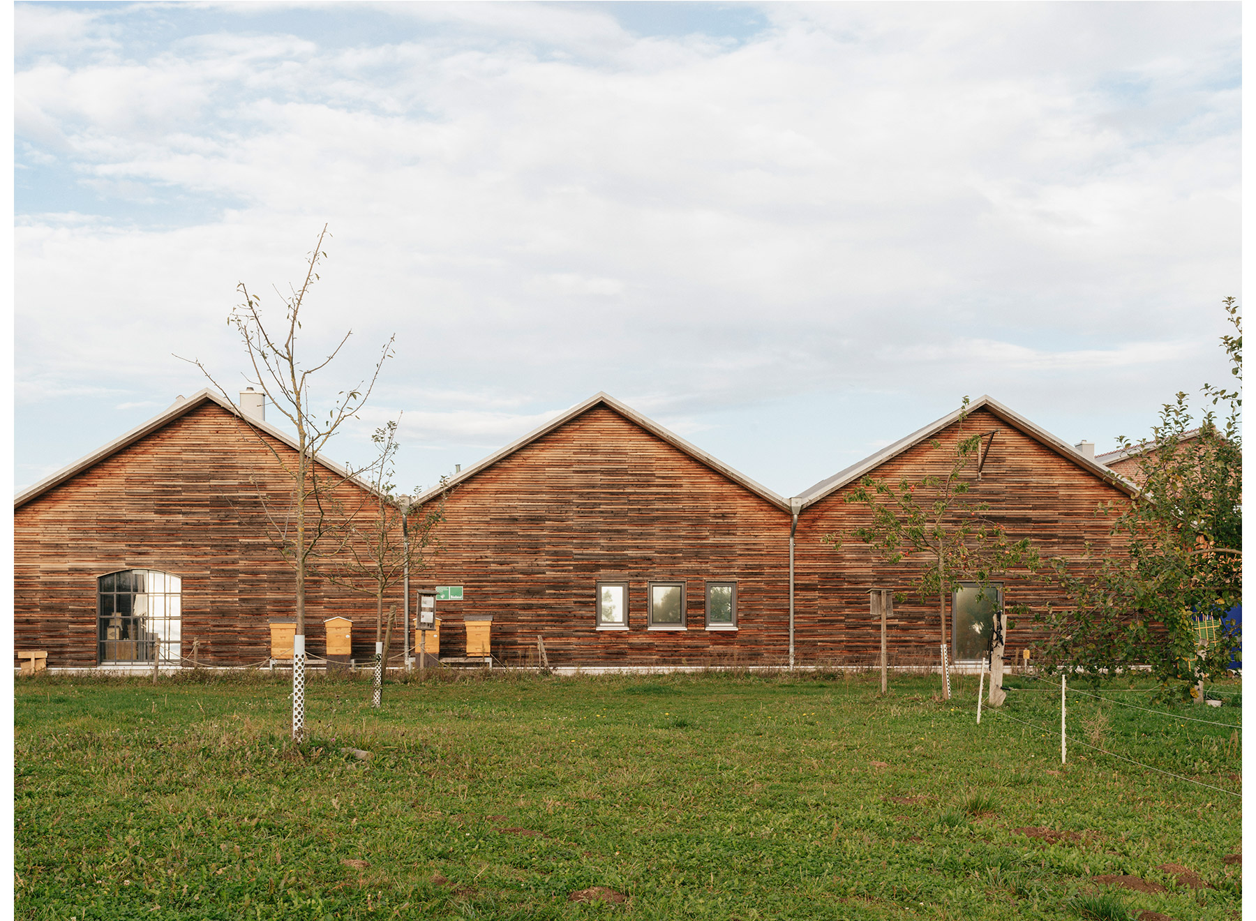 photo: Phillip Meuser