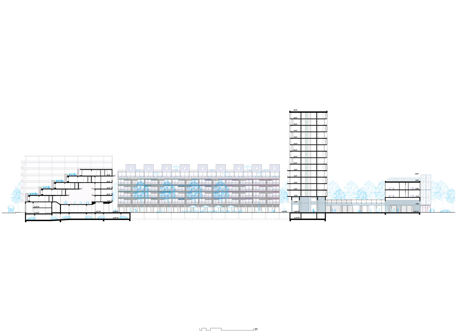 longitudinal-section