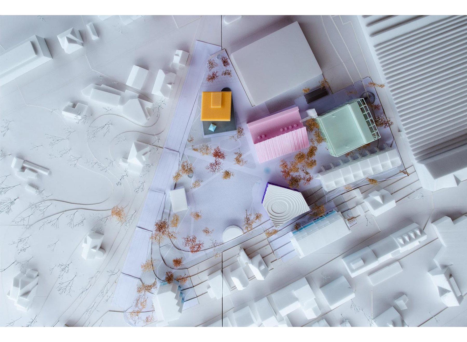 …creating a dense network of relationships