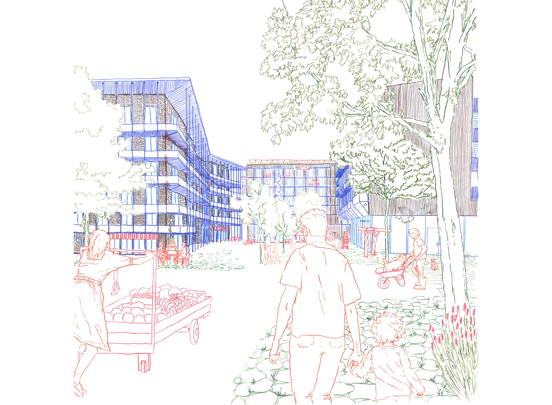 Entering the Courtyard